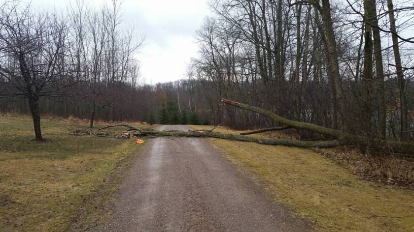 1613924_10208679804943203_766222285759861011_n