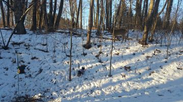 15781621_10211415133124698_2028794100000764548_n