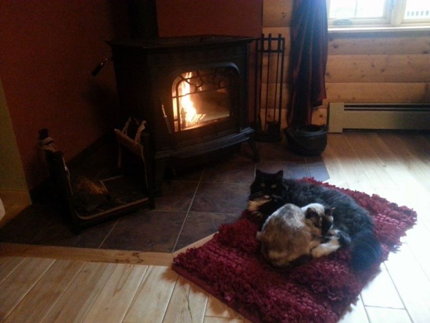 1391973_10202101821737734_1004272680_n