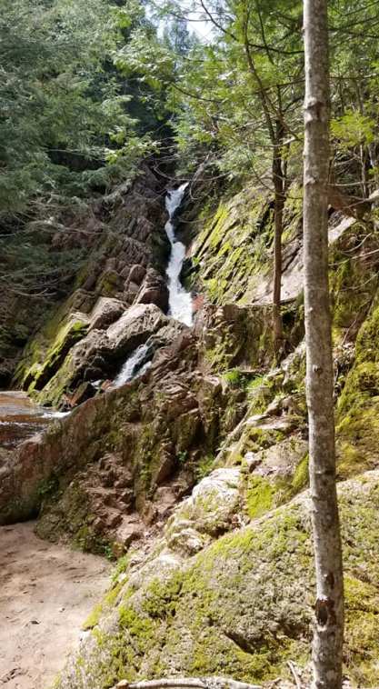 hike morgan falls