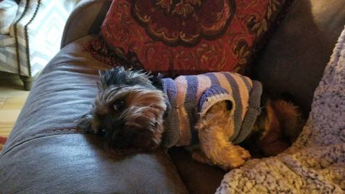 75456953_10220506033831534_4870837305616629760_o